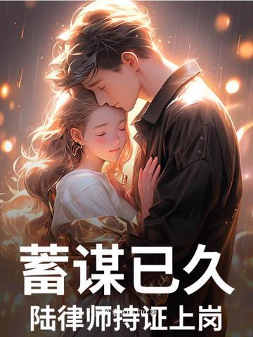 蓄谋已久陆律师持证上岗 第二卷