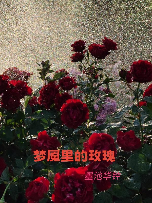 梦魇的文章 梦魇的文章