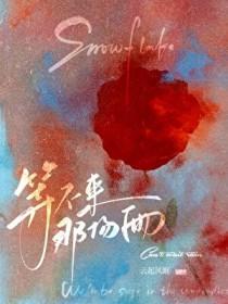等不来的风还是算了吧是什么歌 等不来的风还是算了吧是什么歌