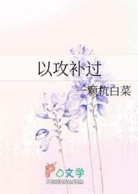 以攻补过 以攻补过