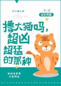 撸大猫吗,超凶超猛的那种! 撸大猫吗,超凶超猛的那种!