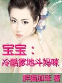 宝宝:冷酷爹地斗妈咪 宝宝:冷酷爹地斗妈咪